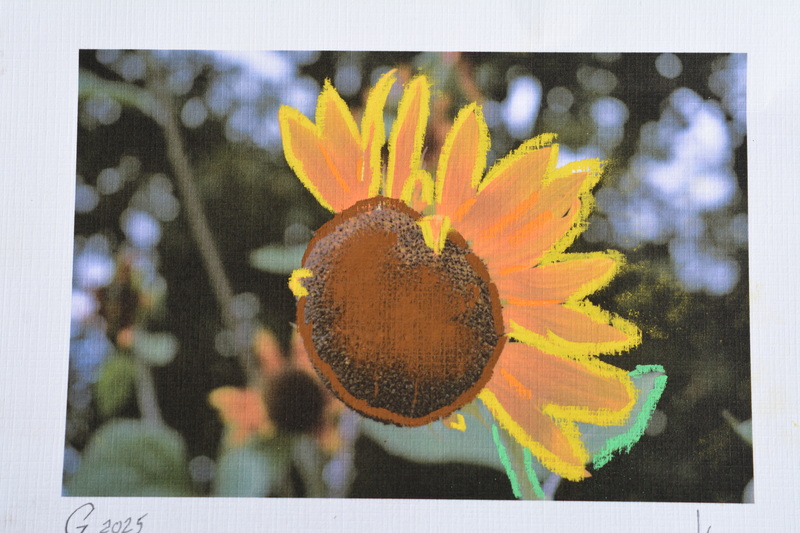 Half Flower
